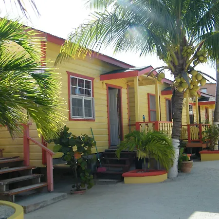 Tropical Paradise-2